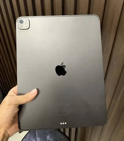 Ipad pro m4 chip 7th generation 13 inches 256gb i pad