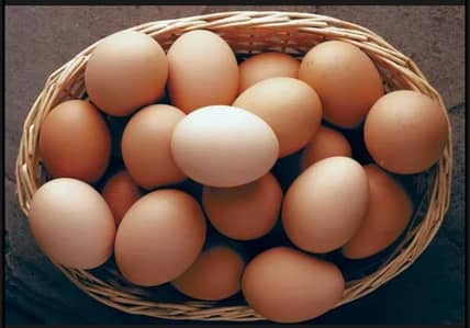 Heera Aseel Fertile Eggs – High Quality | Pure Breed