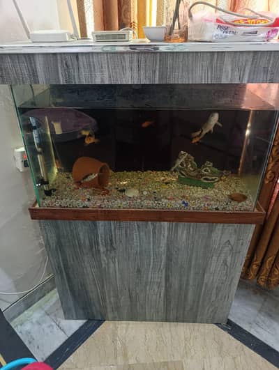Aquarium full setup with medicine for sale