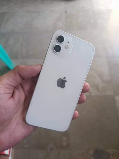 iPhone 12 256 GB Official PTA Approved 03066217522