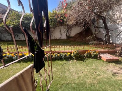 Beautiful house investor prize