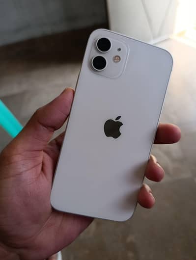 iPhone 12 256 GB Official PTA Approved 03066217522
