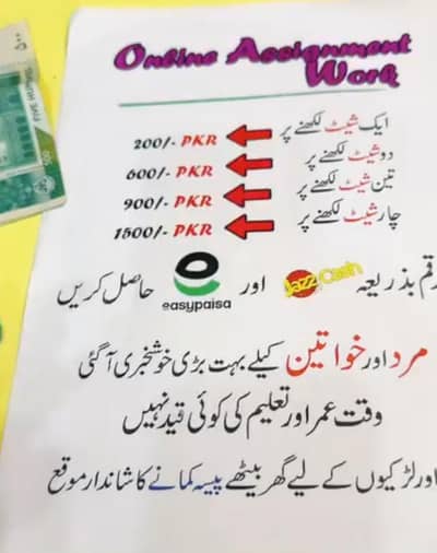 Allama Iqbal Open University Assignment Work