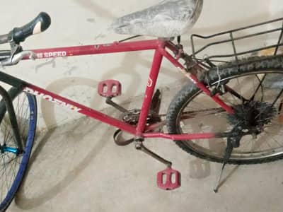 PHONEIX CYCLE FULL  SIEZE