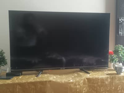 Multynet LED android