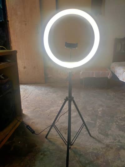 Rinh light blashing colours 10/10