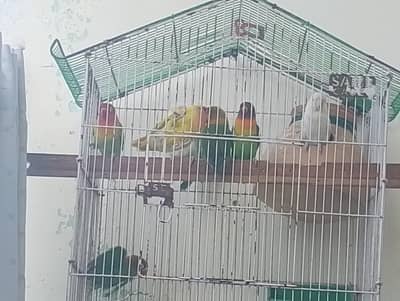 four pair in just 10000