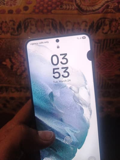 s21 5g all ok non he dote in panl