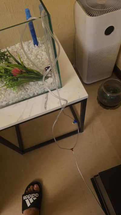 Glass Fish Tank 1 foot by 1 foot