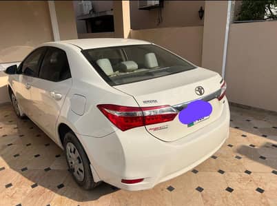 Corolla XLI 2019 converted gli