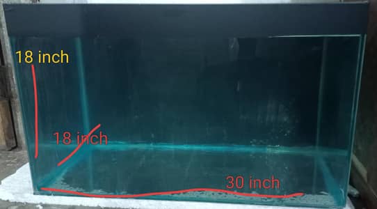 2.5 by 1.5 by 1.5 feet aquarium