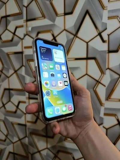 iphone X PTA appored 256GB
