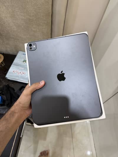 iPad pro m5 12.9 256 wifi + cellular