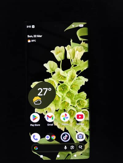 Google pixel mobile 6 Pro