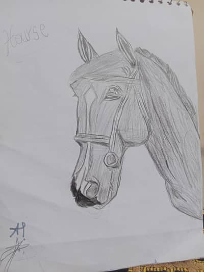 The sketch of majestic horse