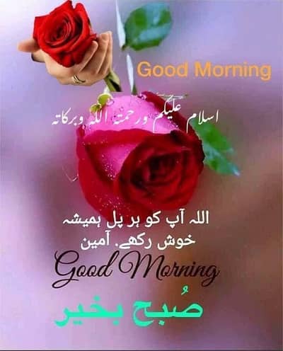 Bedford rocket for sale back hisa hino gear rosi