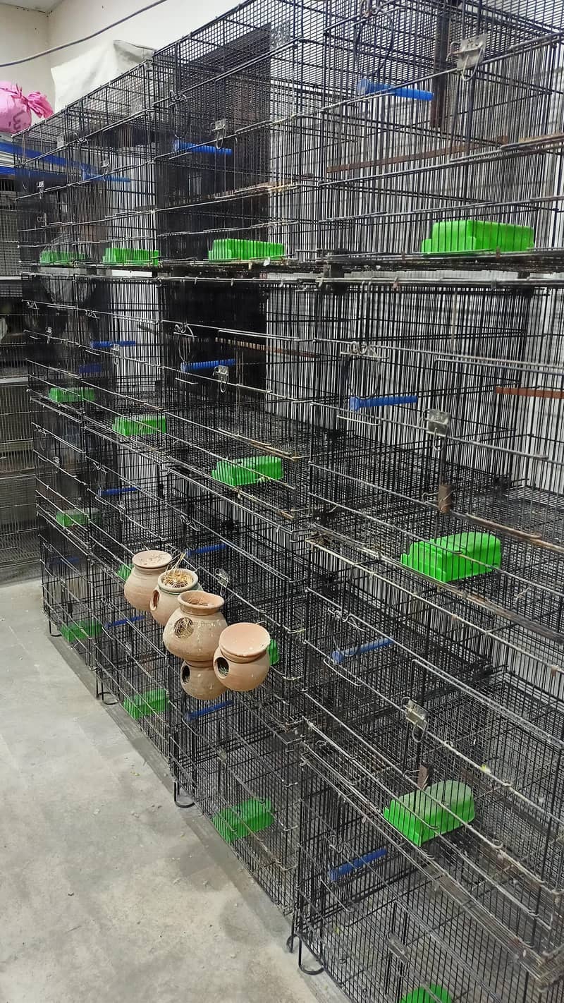 master cage 2*2* - Cages, Crates & Doors - 1112519677