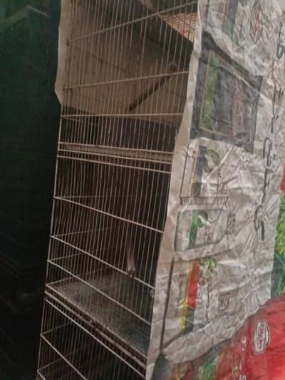 Birds Cage
