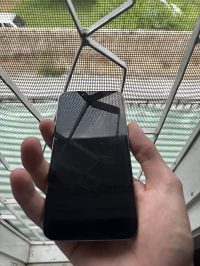 13 pro (panel change)