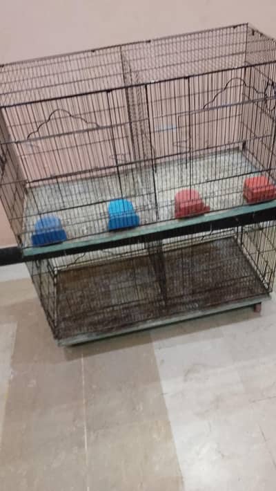 parrot cage