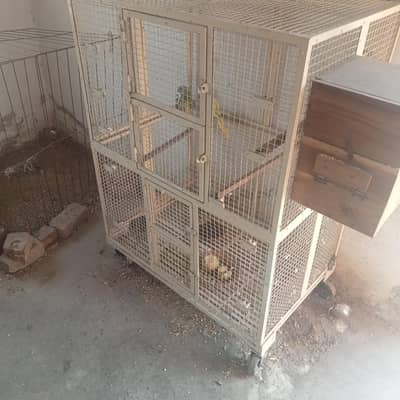 parrot cage