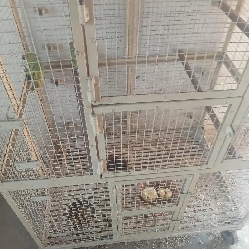 parrot cage — photo 3