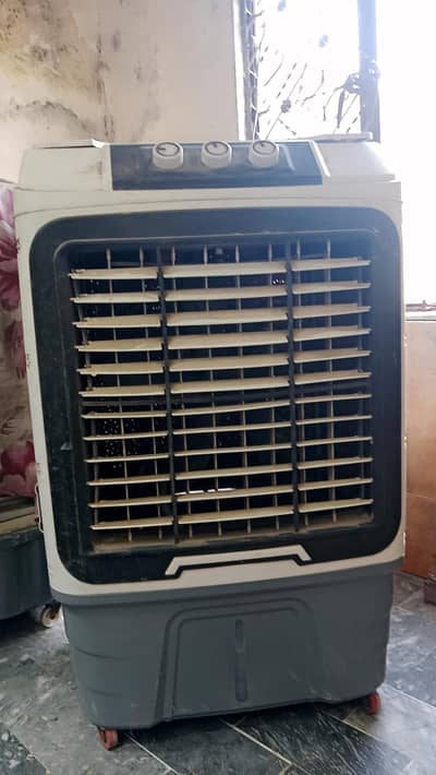 Cooler with gell bottles