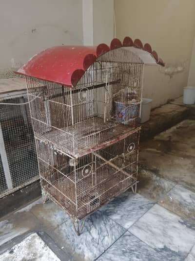 birds cage for sale