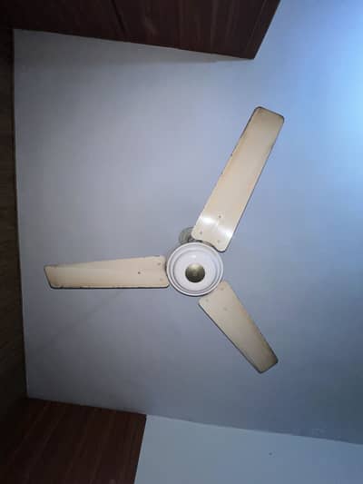 Celling fans for sale