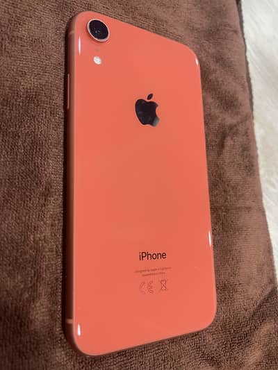 iPhone XR 128GB PTA Approved