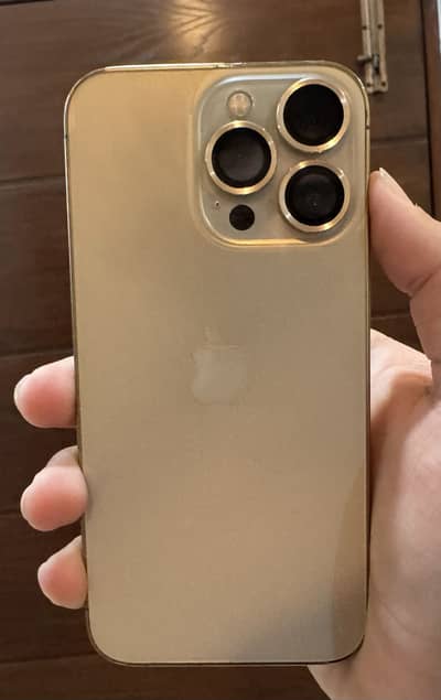 13 pro gold pta approved