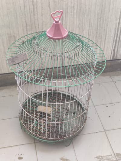 3 parrot with cage