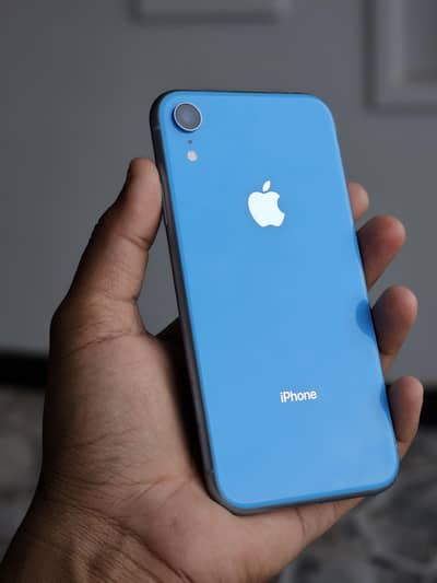 iPhone XR