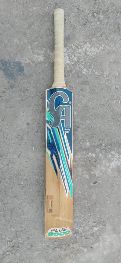 Bat* original CA plus 8000 with  Gray Nicolls pads