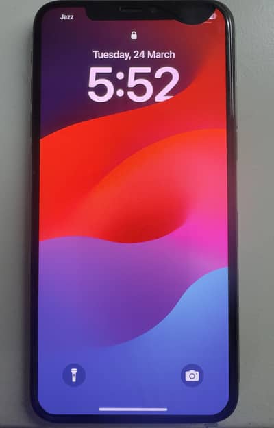 iPhone XS Max 256GB PTA Approved