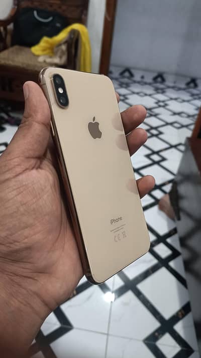 XS MAX