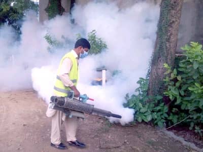 Dengue Spray / Mosquitos Spray and Fummingation Spray Services
