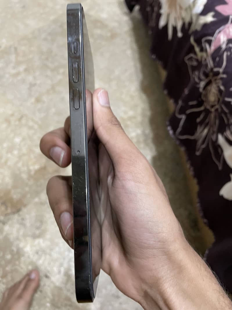iPhone 13 Pro Max 0