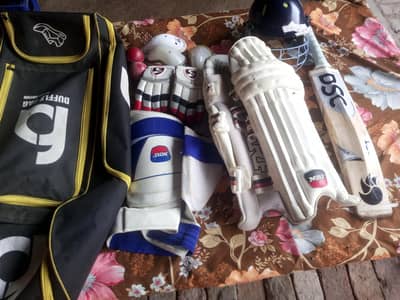 English willow cricket kit