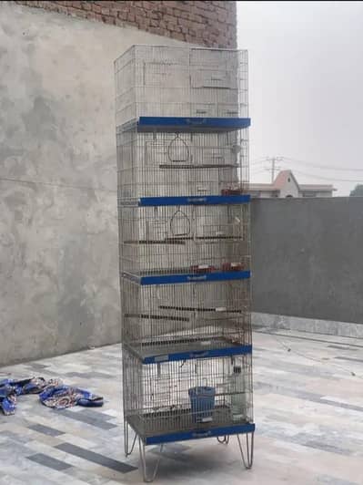 Brids cage 5 portion