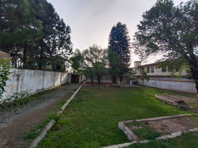 40 Marla Single Story House for Sale Jinnahabad