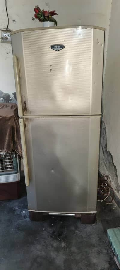 Haier Full Size Frige