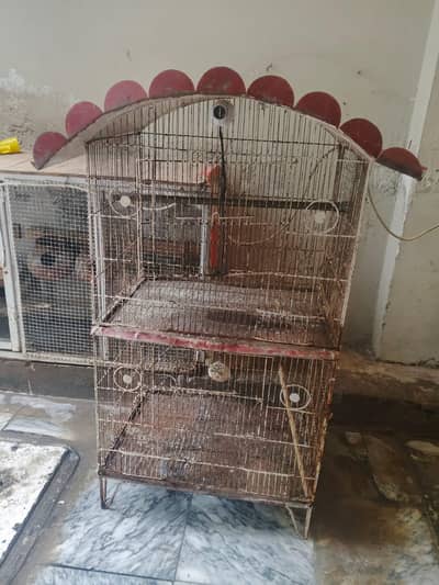 birds cage for sale