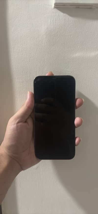 Iphone 12 pro max pta approve