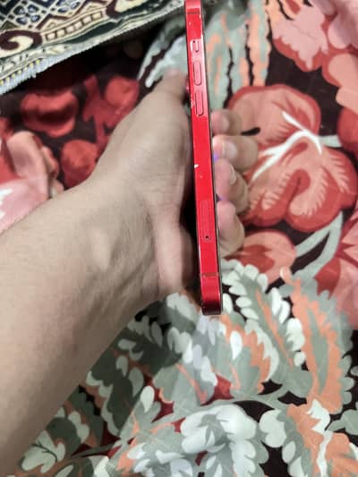 Iphone 13 with doted panel and