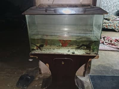 Aquarium for sale