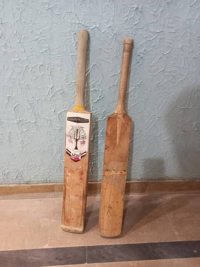 Cricket Bat Cricket & Ball With Cricket Kit