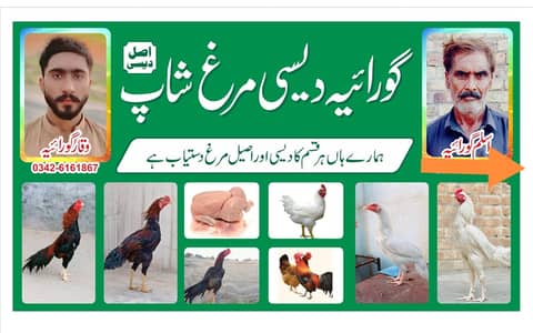 Dasi or Aseel Murgy  wanike tarar