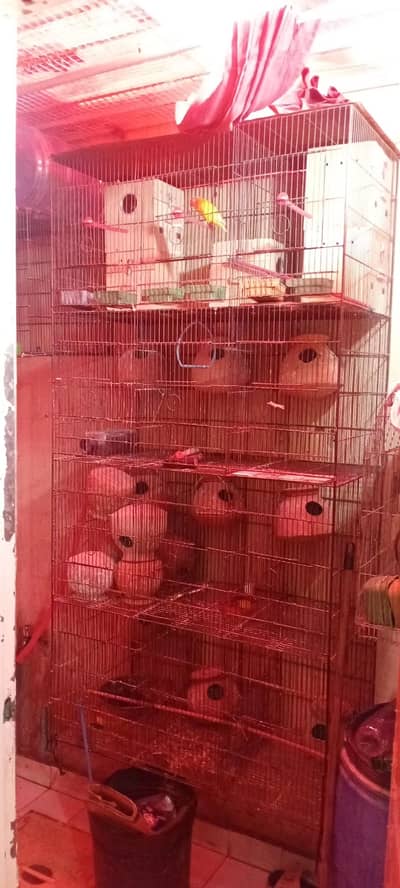 Budgies/lovebird Cage for sale