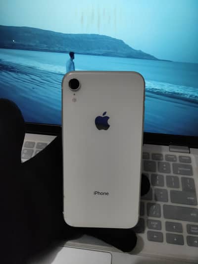 iPhone XR